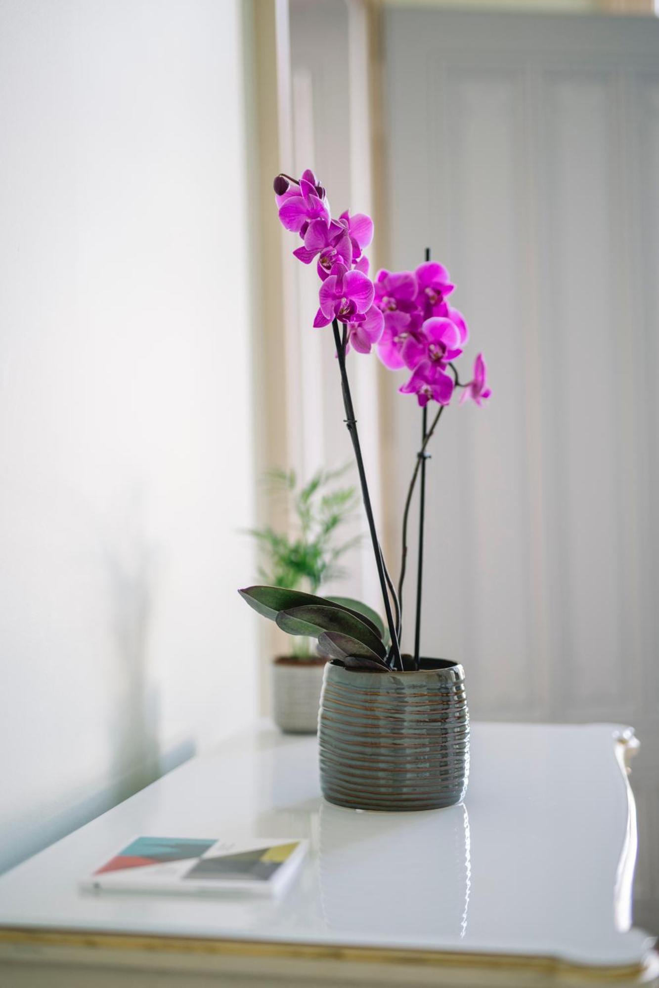 Chateau De L'Aile- Boutique Suites Vevey Ngoại thất bức ảnh